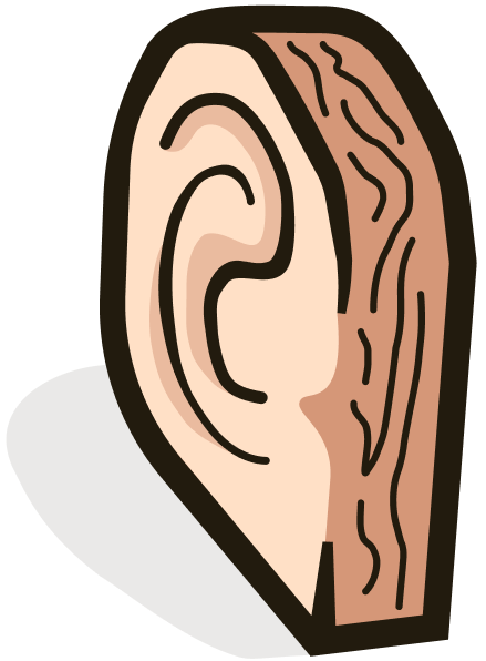 Rackears illustration of an ear shaped like a wooden synthesizer module